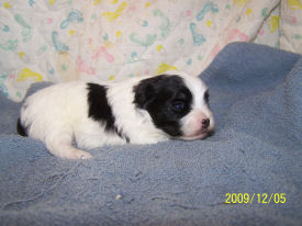 click here to see me grow