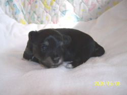 click here to see me grow